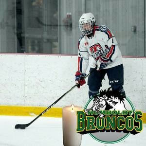 Meet your Posher, Tannan